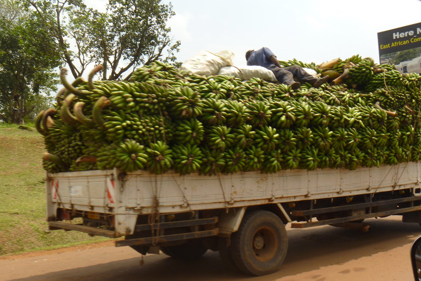 Banana trade Uganda 2010.jpg